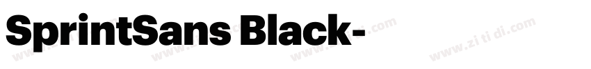 SprintSans Black字体转换